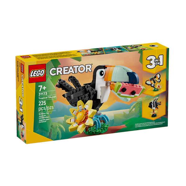 31173