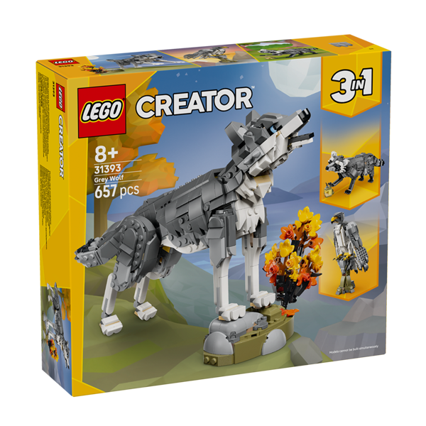 31393
