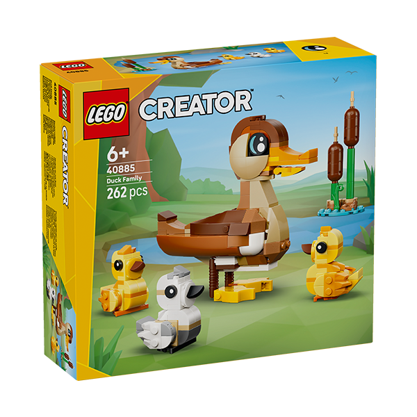 40885